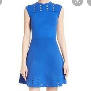 Ted Baker London Zaralia Jacquard mint green skater dress